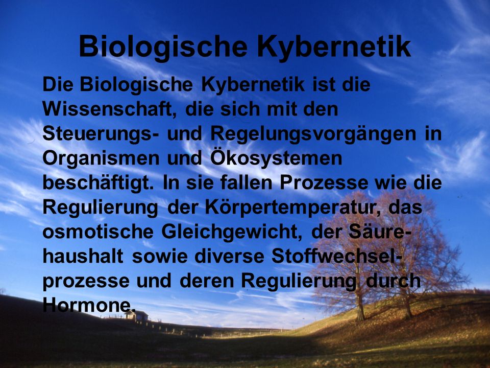 Biologische Kybernetik