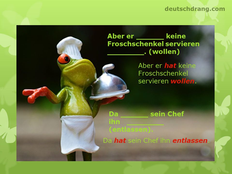 Aber er ______ keine Froschschenkel servieren ________. (wollen)