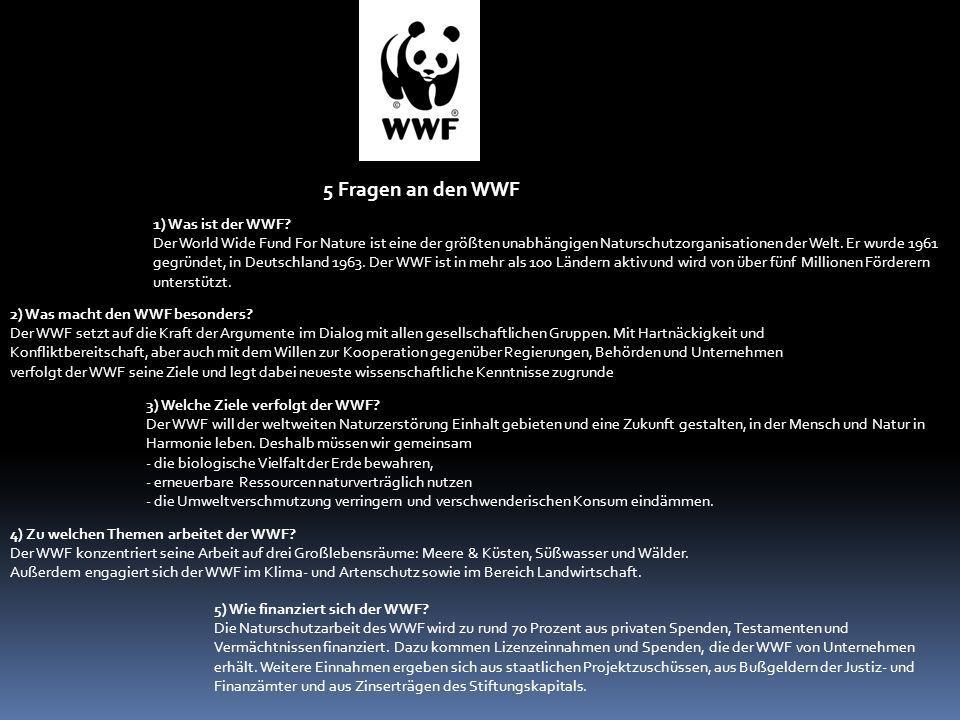 5 Fragen an den WWF 1) Was ist der WWF