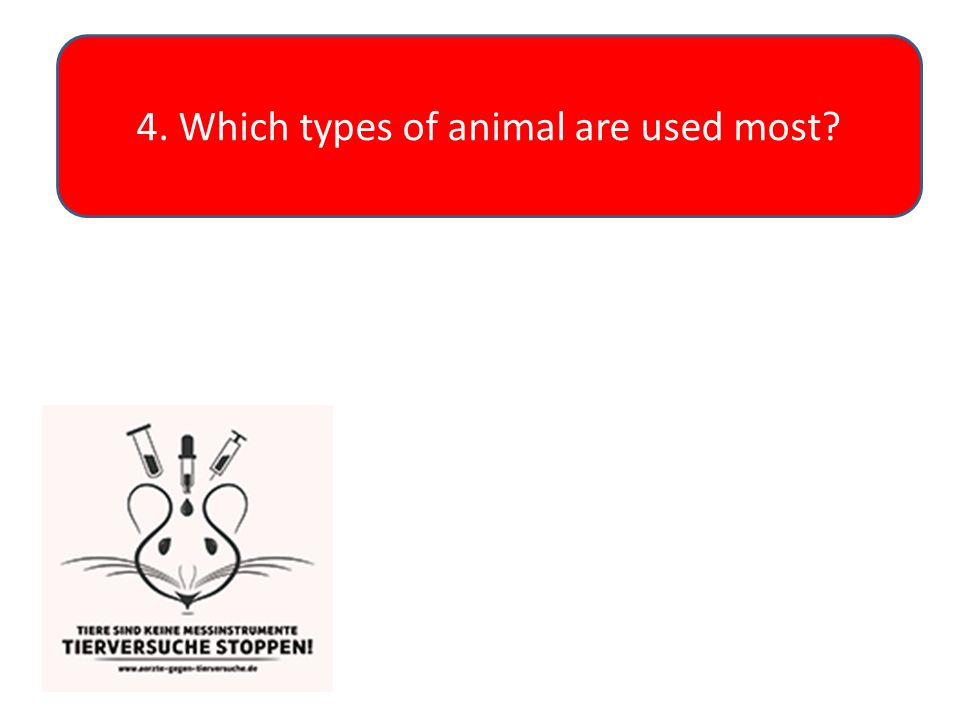 4. Which types of animal are used most