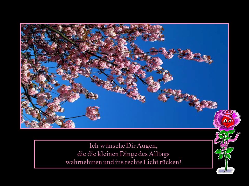 Ich wünsche Dir Augen, die die kleinen Dinge des Alltags wahrnehmen und ins rechte Licht rücken!