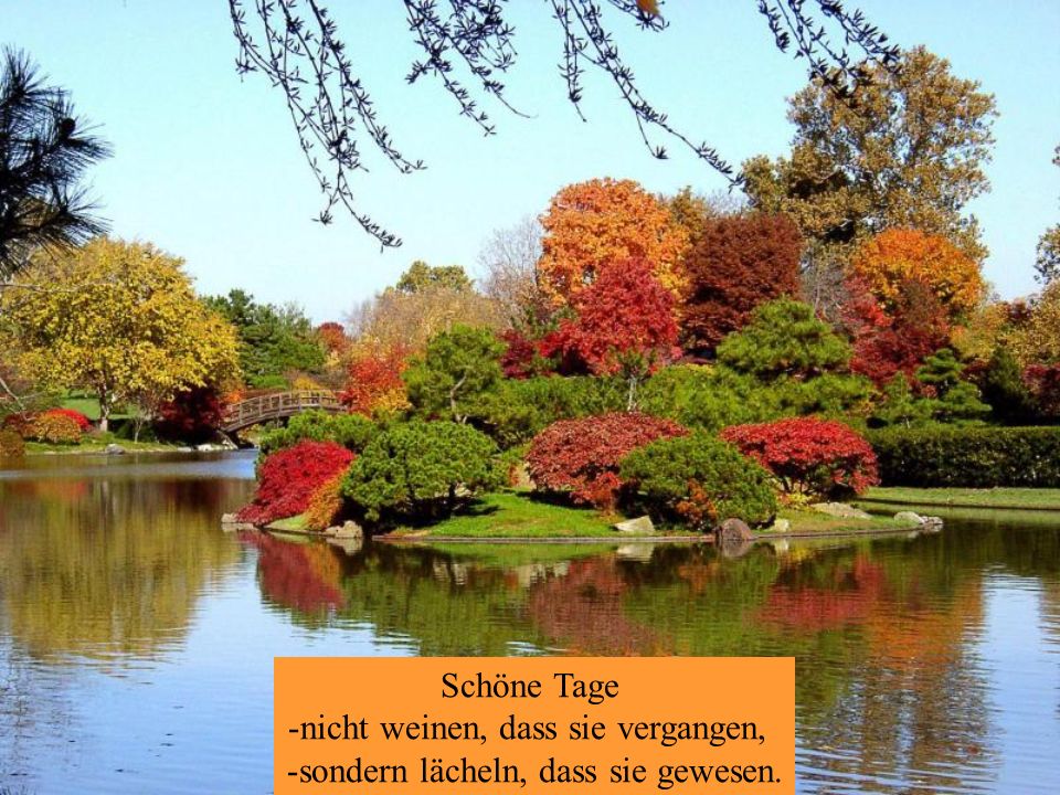 nicht weinen, dass sie vergangen, sondern lächeln, dass sie gewesen.
