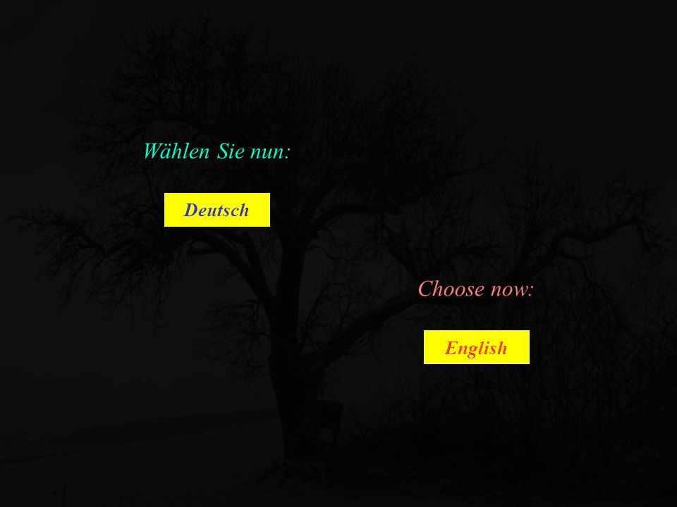 Wählen Sie nun: Deutsch Choose now: English
