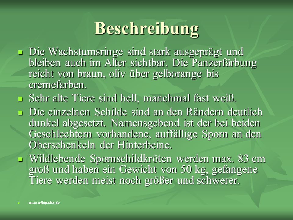 Beschreibung