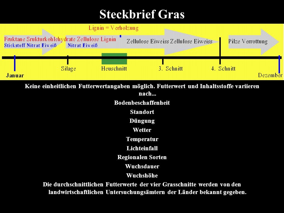 Steckbrief Gras Keine einheitlichen Futterwertangaben möglich. Futterwert und Inhaltsstoffe variieren nach...