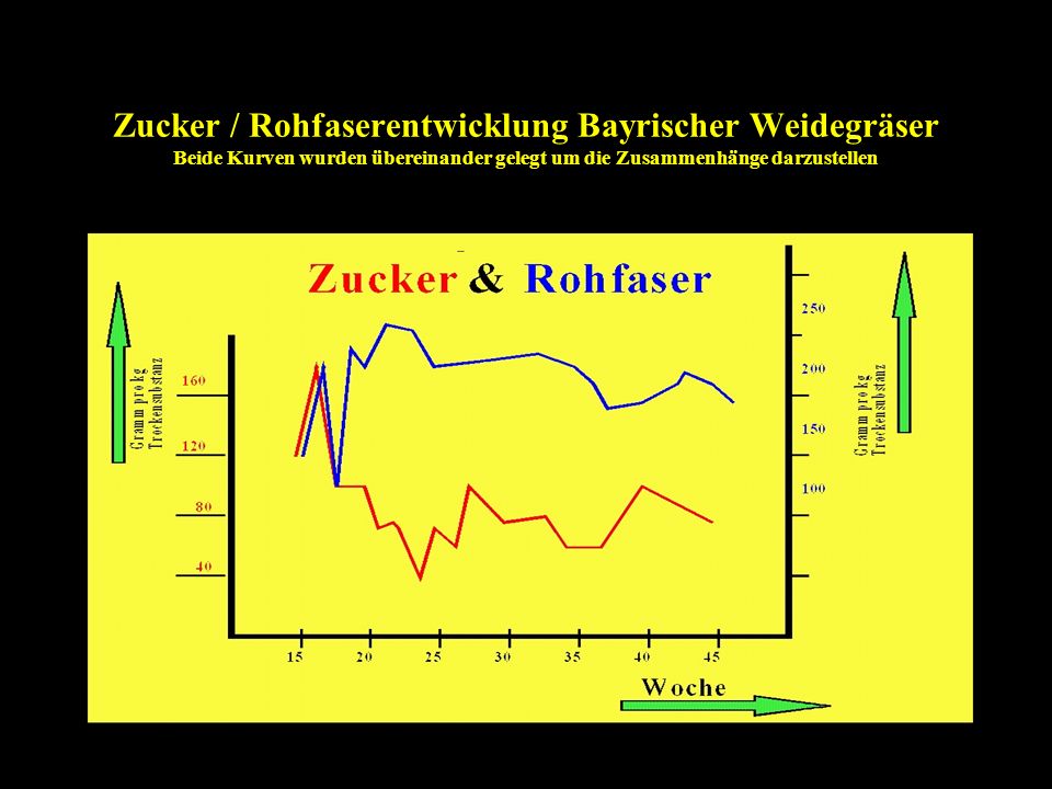 Zucker / Rohfaserentwicklung Bayrischer Weidegräser Beide Kurven wurden übereinander gelegt um die Zusammenhänge darzustellen