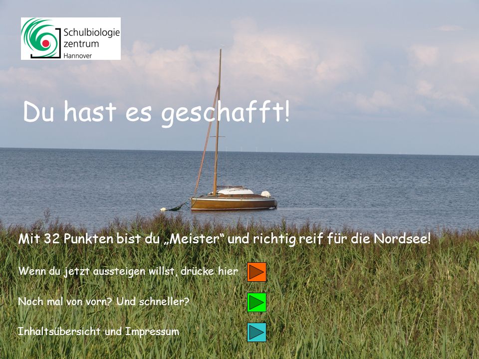 Inhalt Weiter 1 Salicornia europaea Gemeiner Queller/ Schlicktanne 26