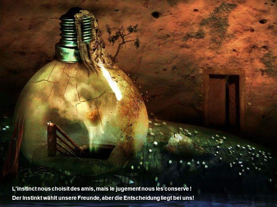 L instinct nous choisit des amis, mais le jugement nous les conserve !