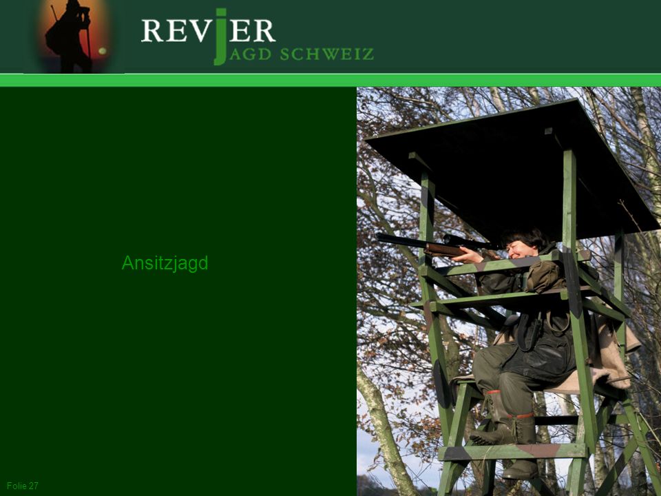 Ansitzjagd Jagdarten. In der Schweiz sind drei Jagdarten verbreitet: Ansitz, Pirsch und Bewegungsjagd.