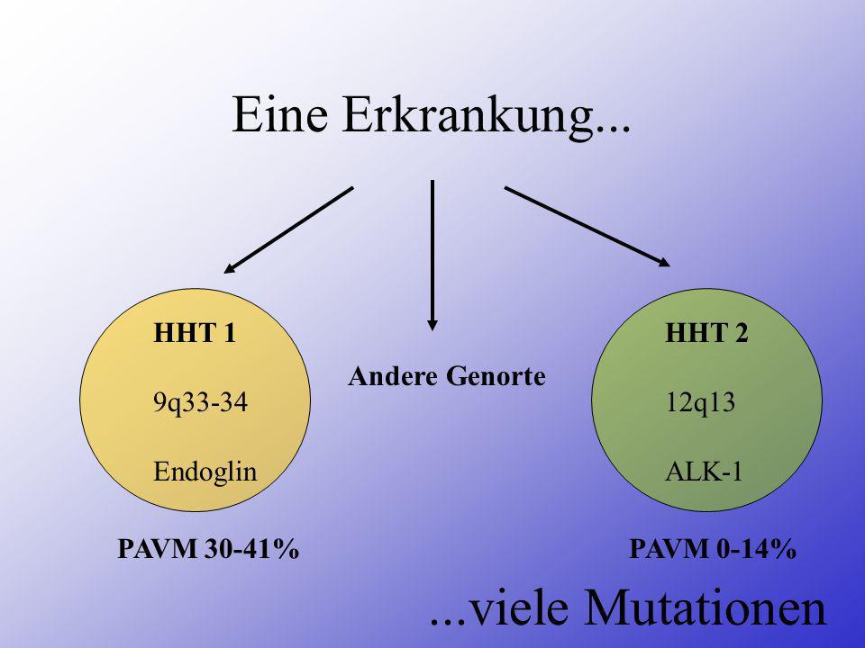 Eine Erkrankung viele Mutationen HHT 1 9q33-34 Endoglin HHT 2