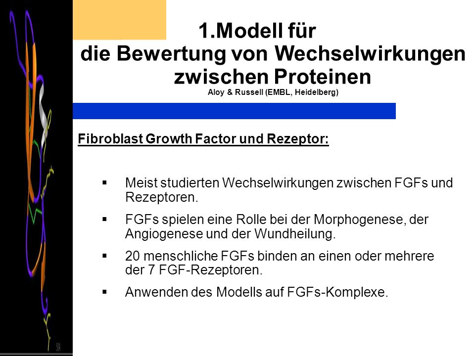 1.Modell für die Bewertung von Wechselwirkungen zwischen Proteinen Aloy & Russell (EMBL, Heidelberg)
