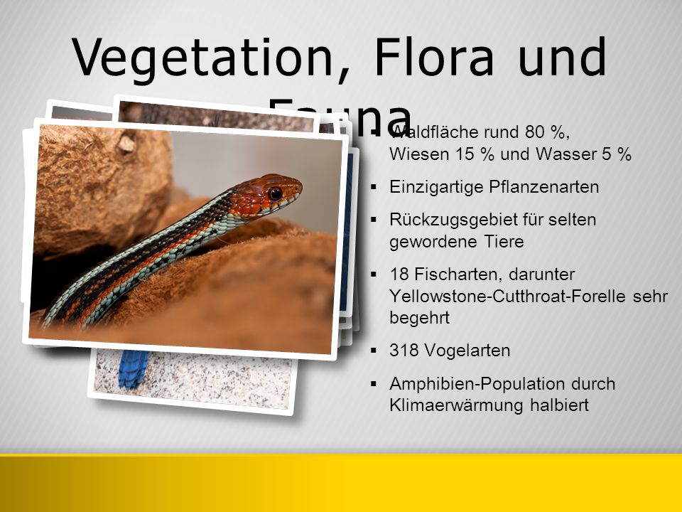 Vegetation, Flora und Fauna
