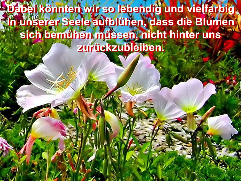 Dabei könnten wir so warmherzig leben,