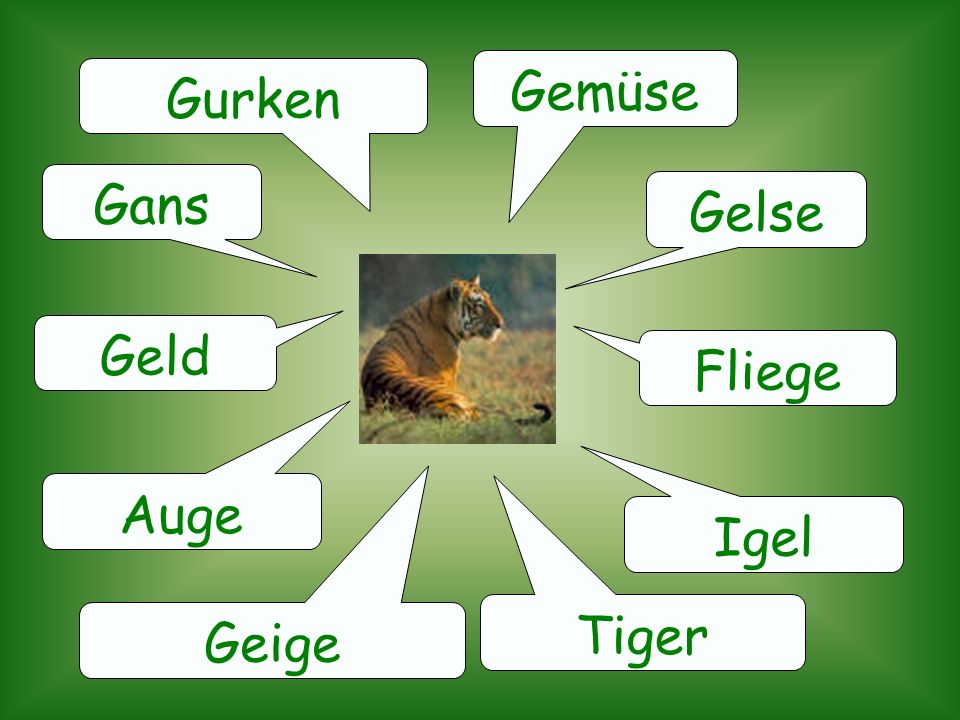 Gemüse Gurken Gans Gelse Geld Fliege Auge Igel Tiger Geige