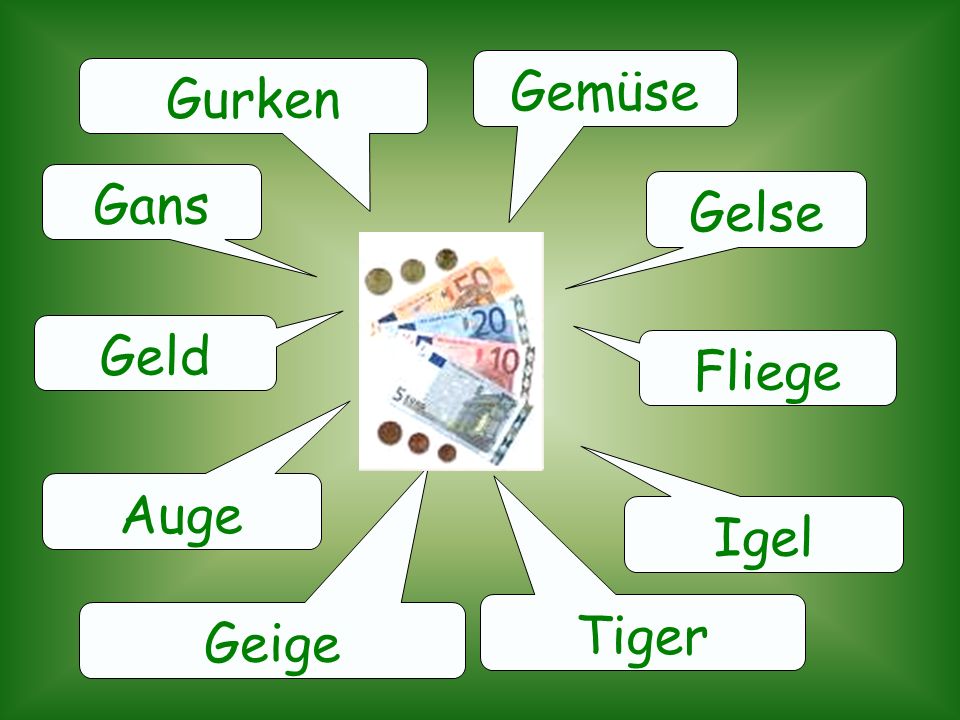 Gemüse Gurken Gans Gelse Geld Fliege Auge Igel Tiger Geige