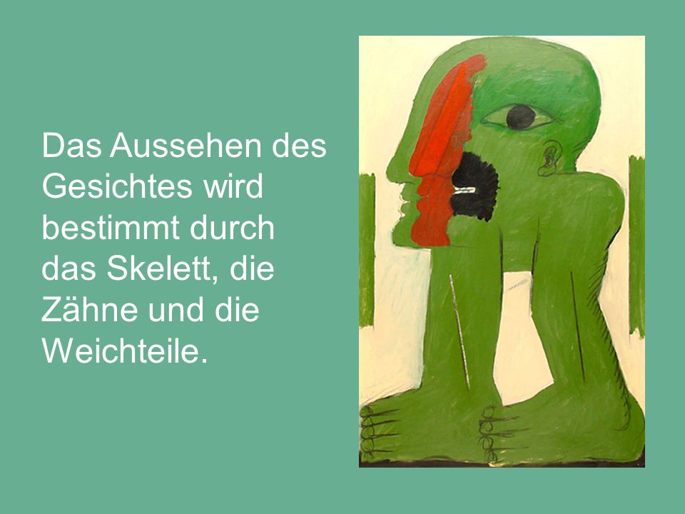 Das Aussehen des Gesichtes wird bestimmt durch das Skelett, die Zähne und die Weichteile.