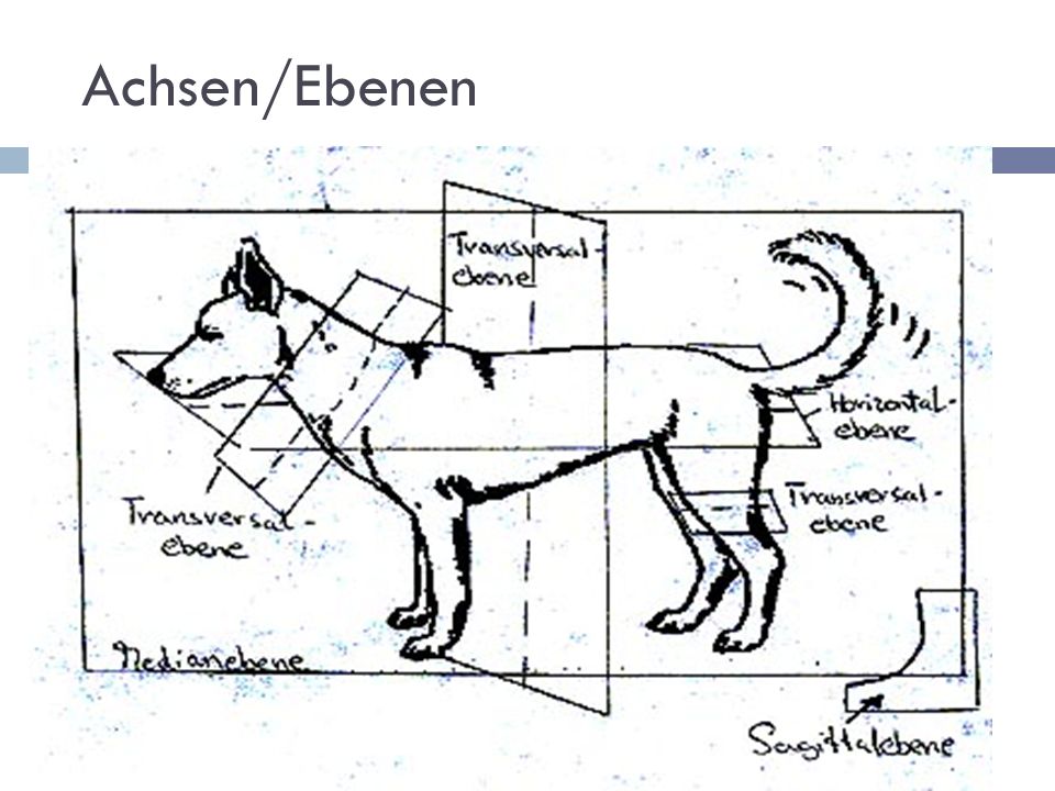 Achsen/Ebenen
