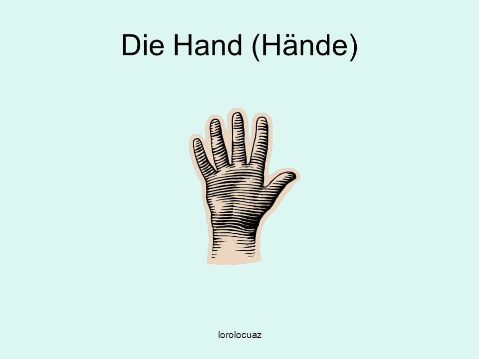 Die Hand (Hände) lorolocuaz