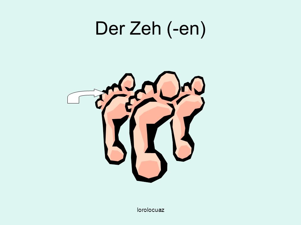 Der Zeh (-en) lorolocuaz