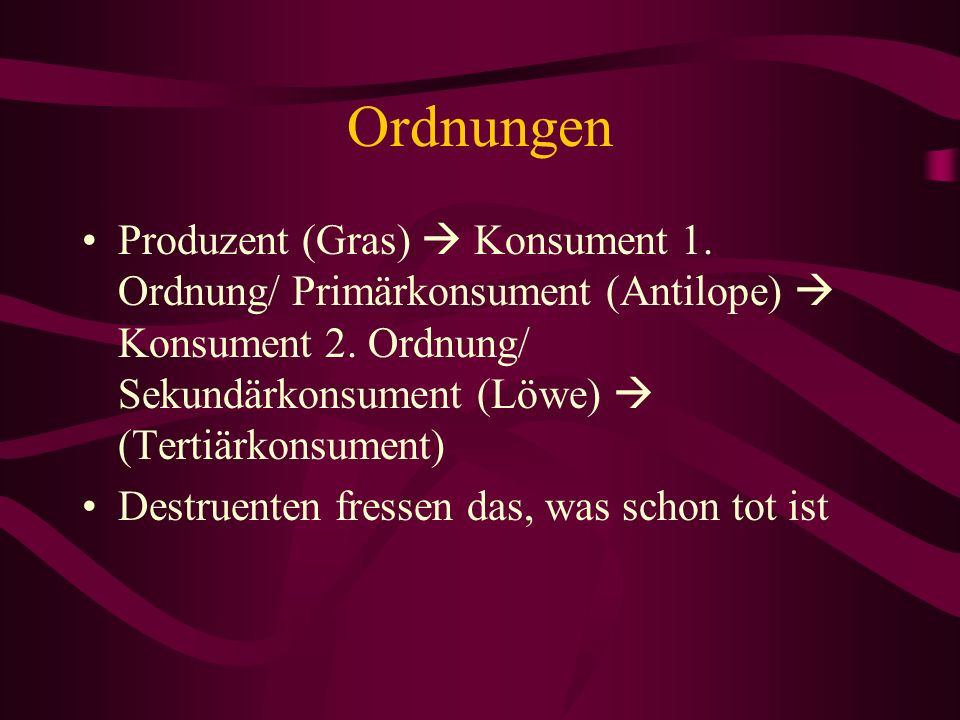 Ordnungen Produzent (Gras)  Konsument 1. Ordnung/ Primärkonsument (Antilope)  Konsument 2. Ordnung/ Sekundärkonsument (Löwe)  (Tertiärkonsument)