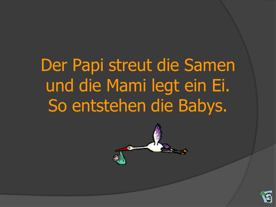 Der Papi streut die Samen und die Mami legt ein Ei