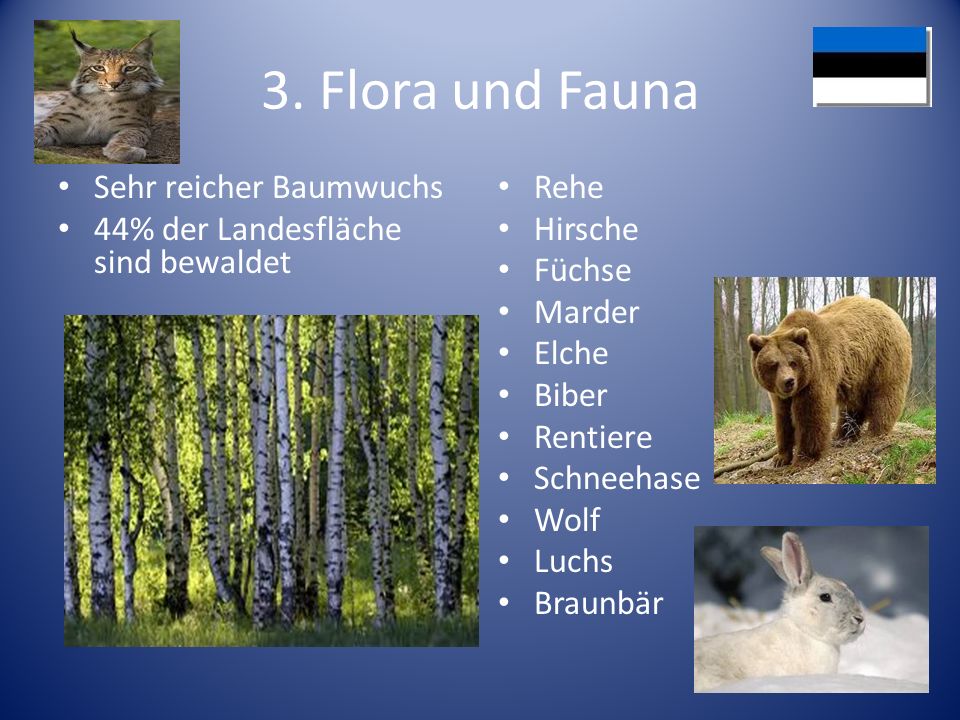3. Flora und Fauna Sehr reicher Baumwuchs