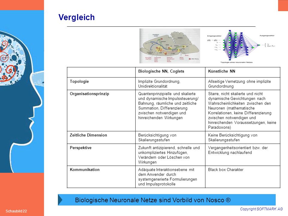 Vergleich Biologische Neuronale Netze sind Vorbild von Nosco ®