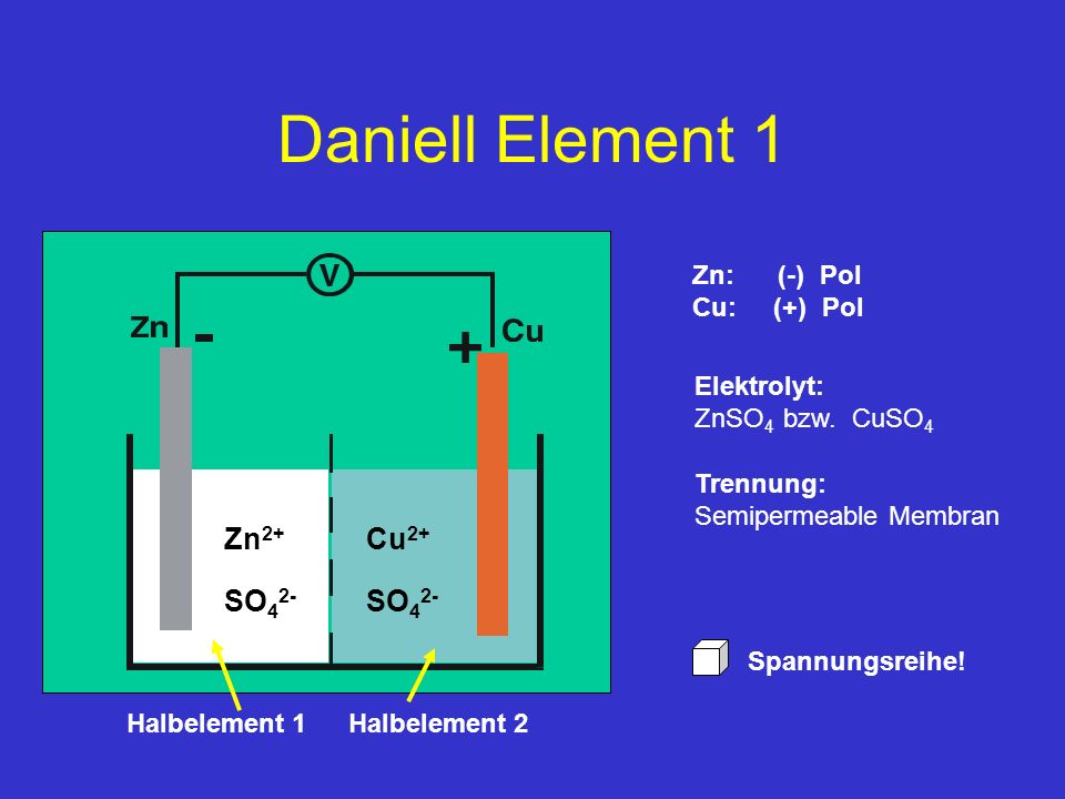 Daniell Element 1 Zn2+ Cu2+ SO42- SO42- Zn: (-) Pol Cu: (+) Pol