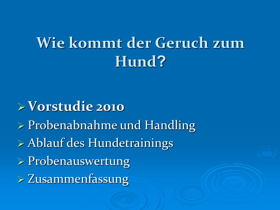 Wie kommt der Geruch zum Hund