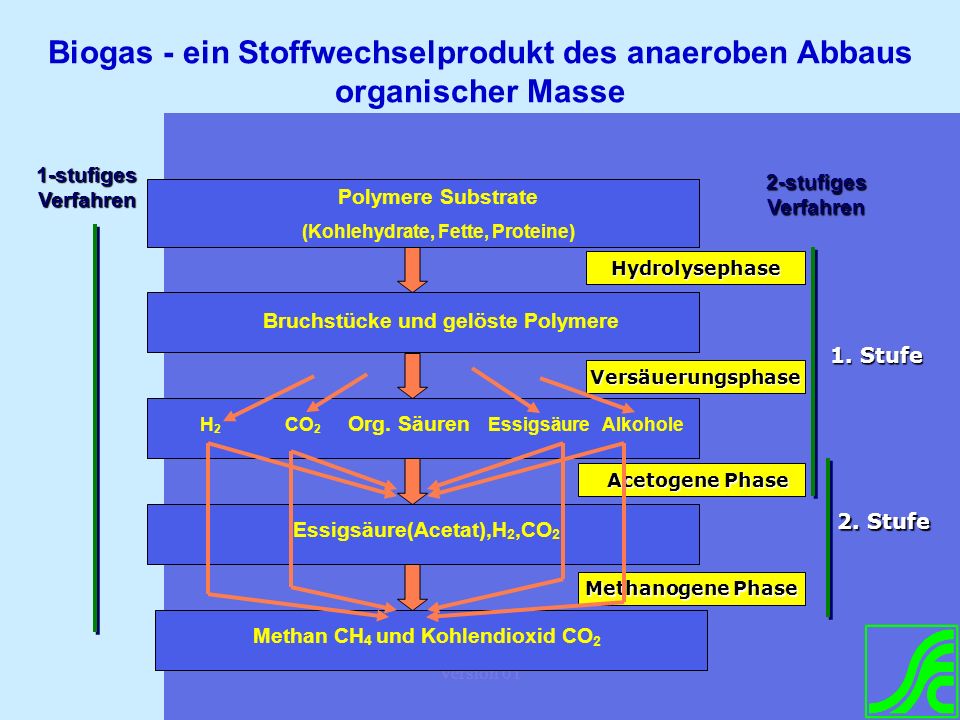 Biogas - ein Stoffwechselprodukt des anaeroben Abbaus organischer Masse