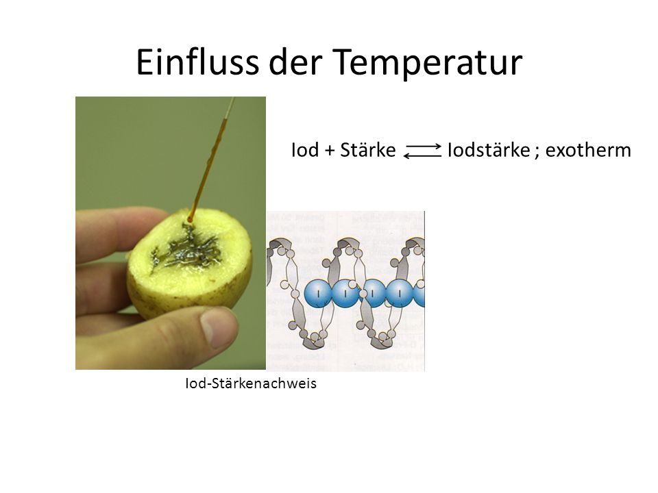 Einfluss der Temperatur