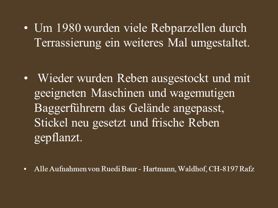 Um 1980 wurden viele Rebparzellen durch Terrassierung ein weiteres Mal umgestaltet.