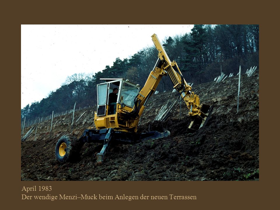 April 1983 Der wendige Menzi–Muck beim Anlegen der neuen Terrassen