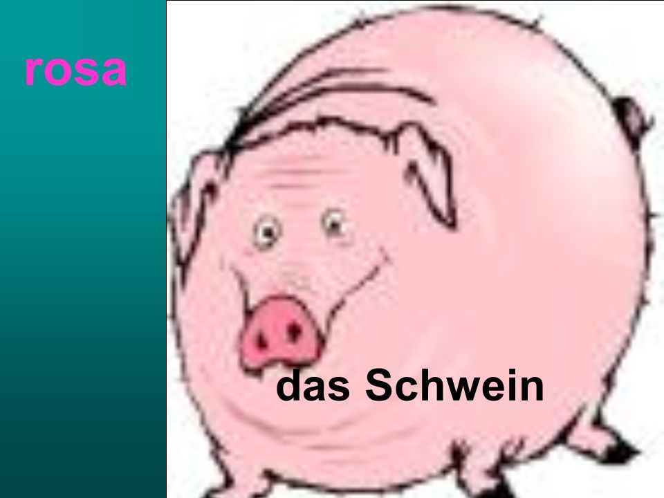 das Schwein rosa