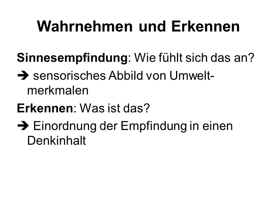 Wahrnehmen und Erkennen