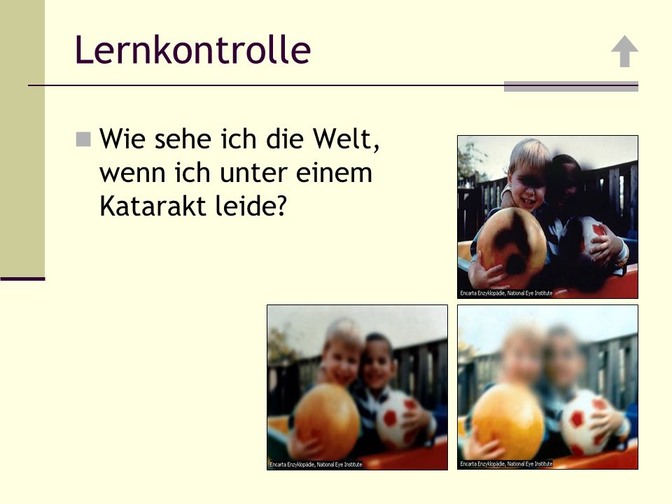 Lernkontrolle Wie sehe ich die Welt, wenn ich unter einem Katarakt leide