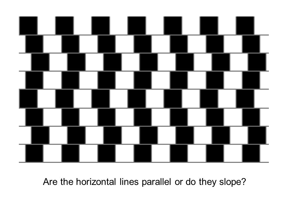 Are the horizontal lines parallel or do they slope
