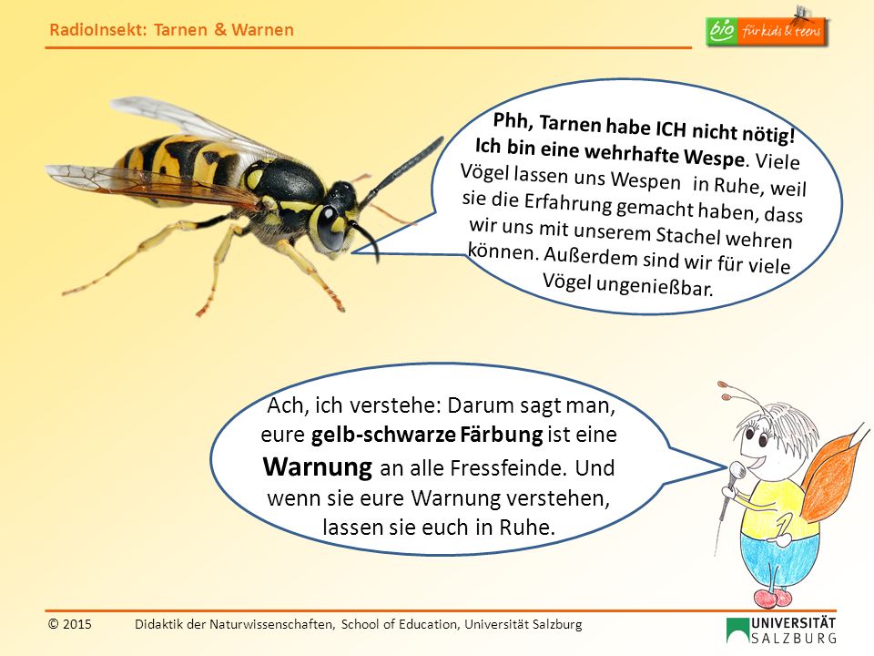 Ich bin mit dem Wort „Trick nicht ganz einverstanden.