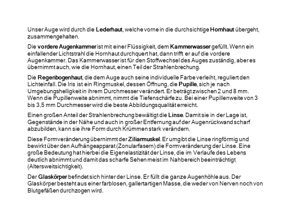 Unser Auge wird durch die Lederhaut, welche vorne in die durchsichtige Hornhaut übergeht, zusammengehalten.