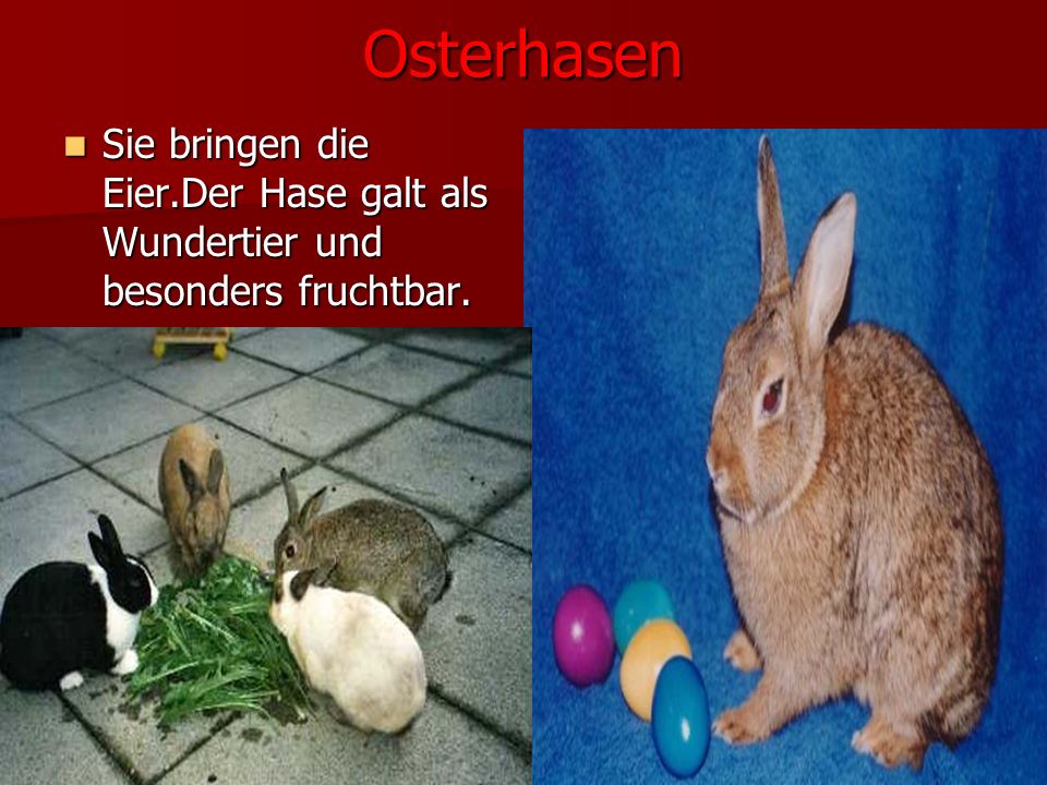 Osterhasen Sie bringen die Eier.Der Hase galt als Wundertier und besonders fruchtbar.