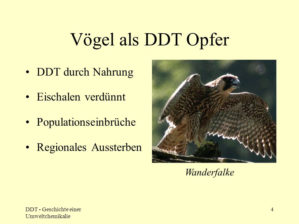 DDT Verbot Amphibien, Fische, Vögel sterben