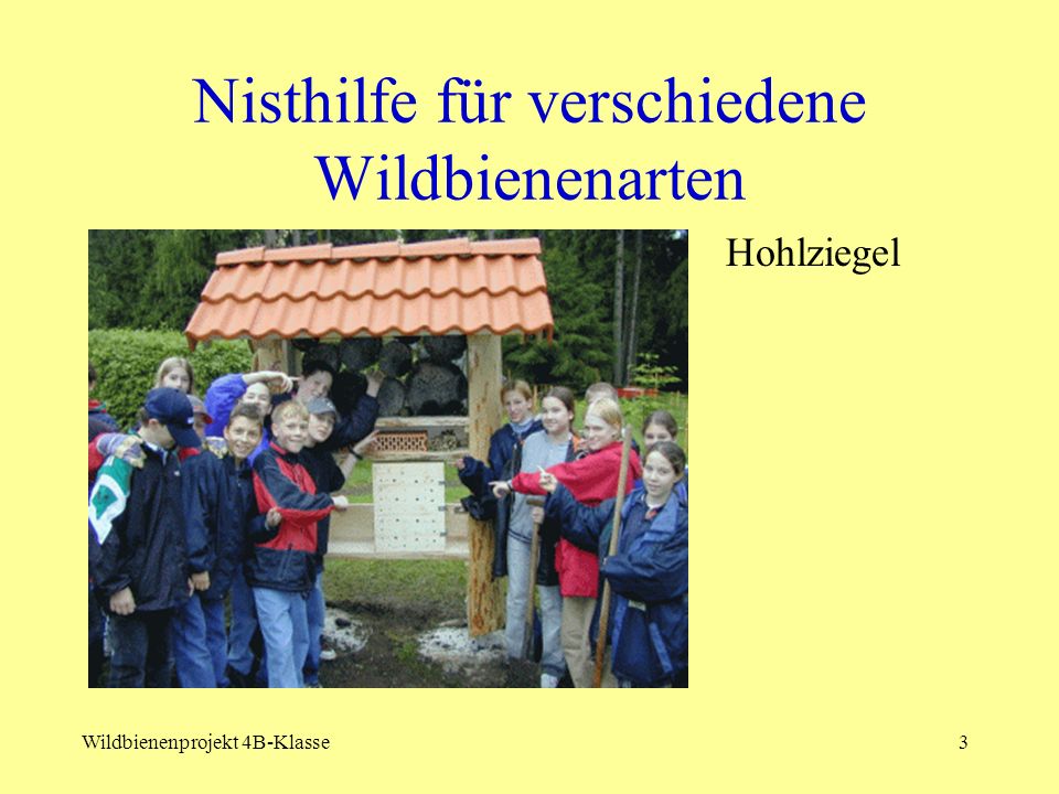 Nisthilfe für verschiedene Wildbienenarten