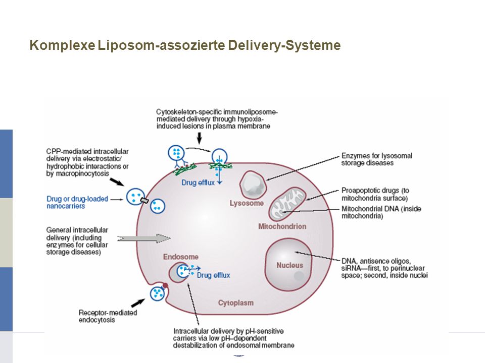 Komplexe Liposom-assozierte Delivery-Systeme