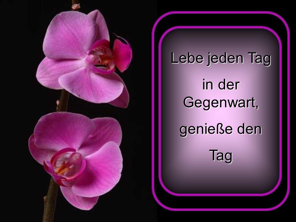 Lebe jeden Tag in der Gegenwart, genieße den Tag