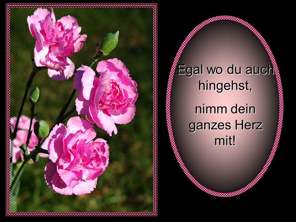 Egal wo du auch hingehst, nimm dein ganzes Herz mit!