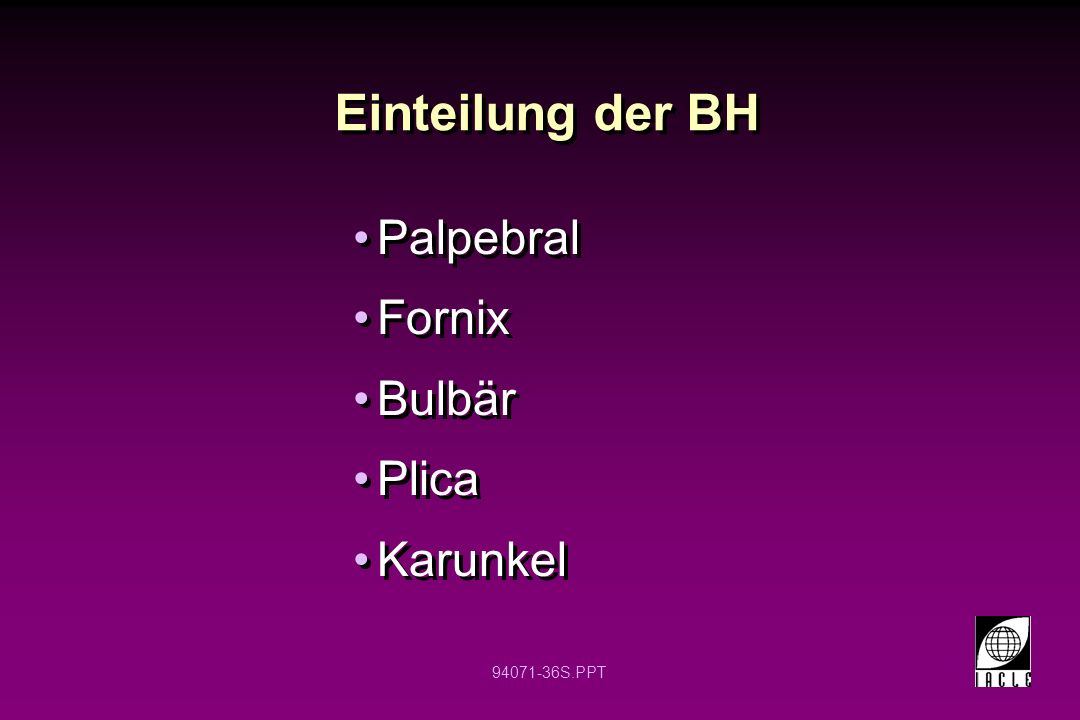 Einteilung der BH Palpebral Fornix Bulbär Plica Karunkel 12 12