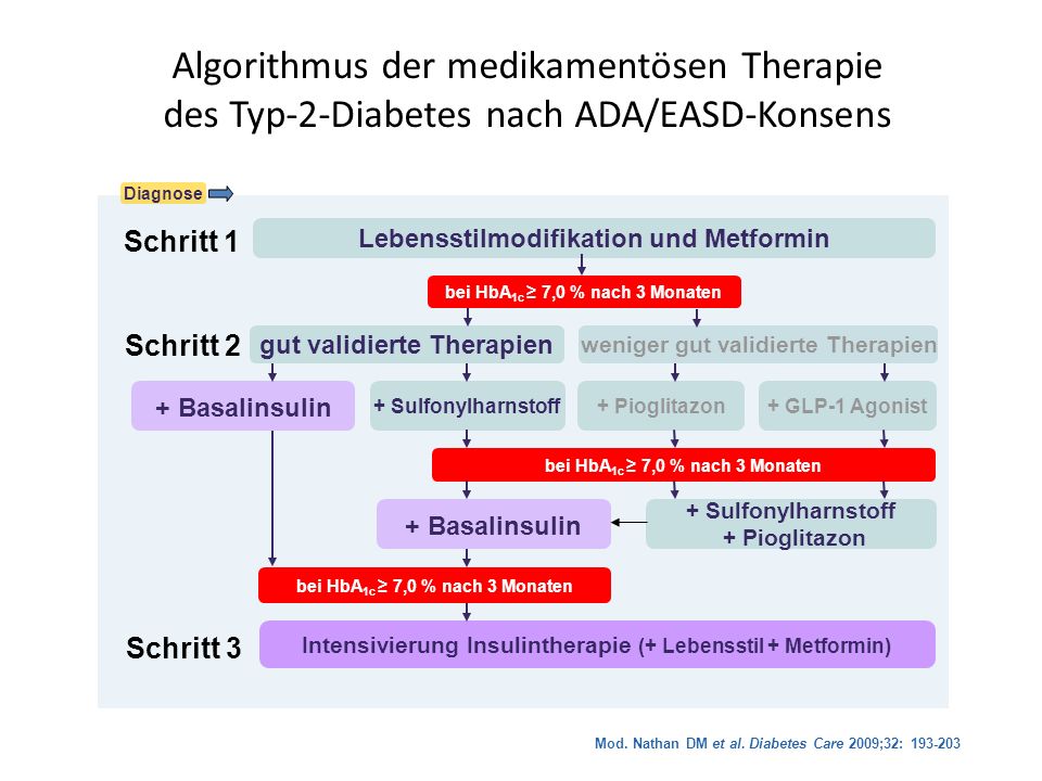 Algorithmus der medikamentösen Therapie des Typ-2-Diabetes nach ADA/EASD-Konsens