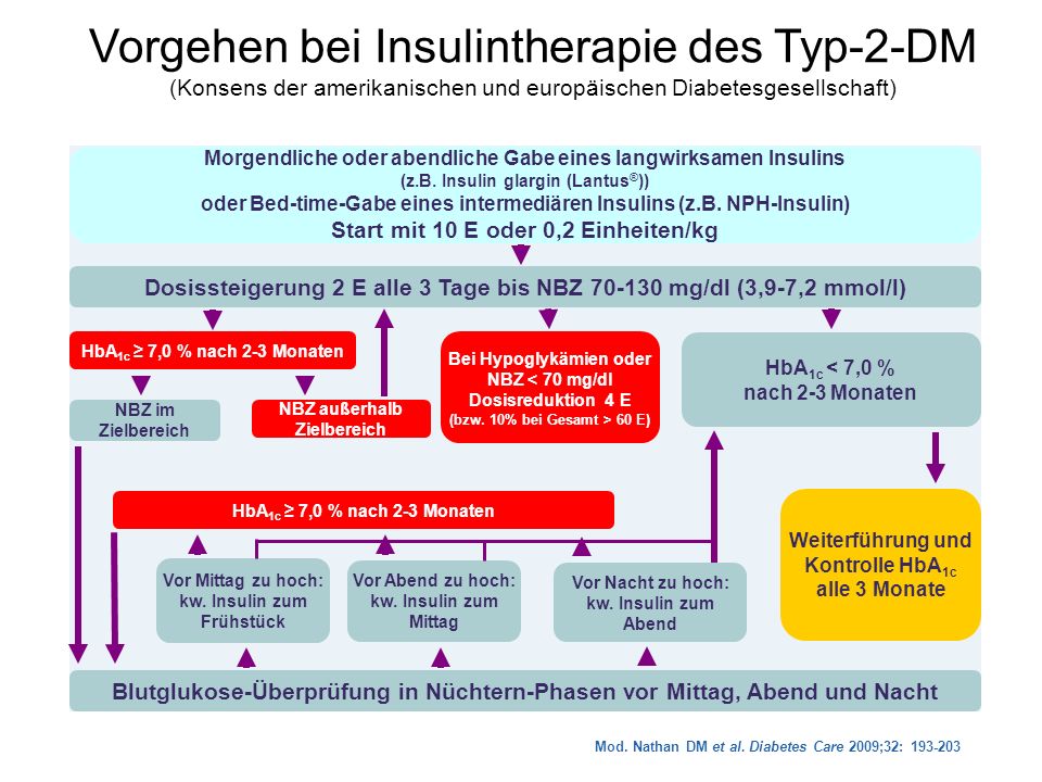 Vorgehen bei Insulintherapie des Typ-2-DM (Konsens der amerikanischen und europäischen Diabetesgesellschaft)