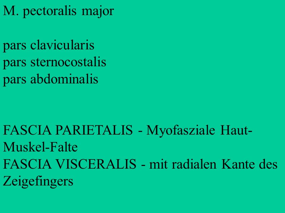M. pectoralis major pars clavicularis. pars sternocostalis. pars abdominalis. FASCIA PARIETALIS - Myofasziale Haut-Muskel-Falte.