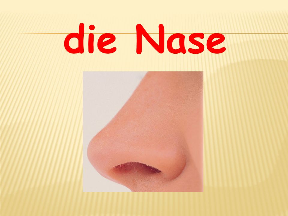 die Nase